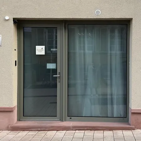 Pfalzliebe - Franz, Landau Zentrum Appartement *